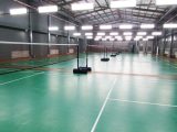 Badminton Field